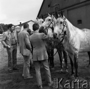 1973, Łąck, Polska.
Aukcja koni.
Fot. Romuald Broniarek, zbiory Ośrodka KARTA