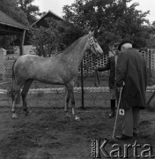 1973, Łąck, Polska.
Aukcja koni.
Fot. Romuald Broniarek, zbiory Ośrodka KARTA