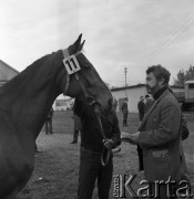 1973, Łąck, Polska.
Aukcja koni.
Fot. Romuald Broniarek, zbiory Ośrodka KARTA