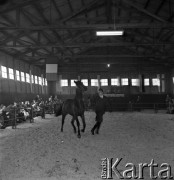 1973, Łąck, Polska.
Aukcja koni.
Fot. Romuald Broniarek, zbiory Ośrodka KARTA