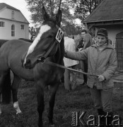 1973, Łąck, Polska.
Aukcja koni.
Fot. Romuald Broniarek, zbiory Ośrodka KARTA