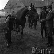 1973, Łąck, Polska.
Aukcja koni.
Fot. Romuald Broniarek, zbiory Ośrodka KARTA