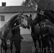 1973, Łąck, Polska.
Aukcja koni.
Fot. Romuald Broniarek, zbiory Ośrodka KARTA