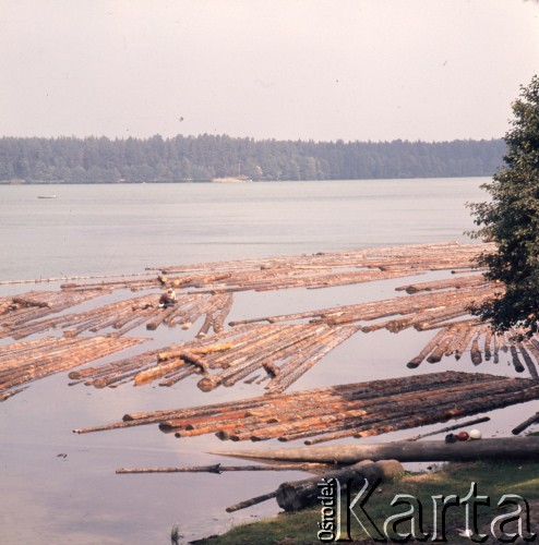 1973, Mazury, Polska.
Puszcza Piska.
Fot. Romuald Broniarek, zbiory Ośrodka KARTA