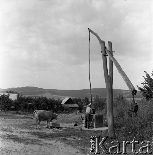 1973, Polska.
Gospodarstwo.
Fot. Romuald Broniarek, zbiory Ośrodka KARTA