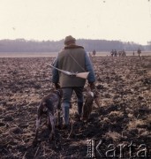 1973, Czechosłowacja.
Polowanie na bażanty i zające.
Fot. Romuald Broniarek, zbiory Ośrodka KARTA