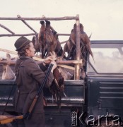 1973, Czechosłowacja.
Polowanie na bażanty i zające.
Fot. Romuald Broniarek, zbiory Ośrodka KARTA