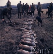 1973, Czechosłowacja.
Polowanie na bażanty i zające.
Fot. Romuald Broniarek, zbiory Ośrodka KARTA