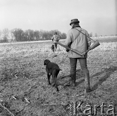 1973, Czechosłowacja.
Polowanie na bażanty i zające.
Fot. Romuald Broniarek, zbiory Ośrodka KARTA