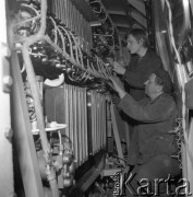 1974, Świdnica, Polska.
Fabryka Wagonów „Świdnica”.
Fot. Romuald Broniarek, zbiory Ośrodka KARTA