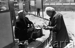 1974, Brwinów, Polska.
Kwiaciarka.
Fot. Romuald Broniarek, zbiory Ośrodka KARTA
