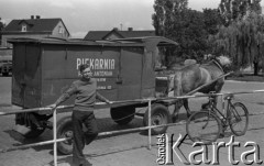 1974, Brwinów, Polska.
Wóz.
Fot. Romuald Broniarek, zbiory Ośrodka KARTA