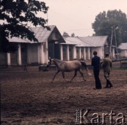 1974, Janów Lubelski, Polska.
Stadnina koni.
Fot. Romuald Broniarek, zbiory Ośrodka KARTA