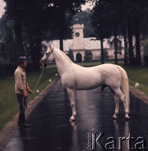 1974, Janów Lubelski, Polska.
Stadnina koni.
Fot. Romuald Broniarek, zbiory Ośrodka KARTA