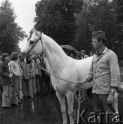 1974, Janów Lubelski, Polska.
Stadnina koni.
Fot. Romuald Broniarek, zbiory Ośrodka KARTA