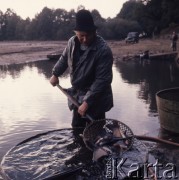 1974, Budziejowice, Czechosłowacja.
Gospodarstwo rybne.
Fot. Romuald Broniarek, zbiory Ośrodka KARTA