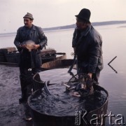 1974, Budziejowice, Czechosłowacja.
Gospodarstwo rybne.
Fot. Romuald Broniarek, zbiory Ośrodka KARTA