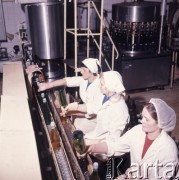 1975, Dębno, Polska.
Zakłady owocowe.
Fot. Romuald Broniarek, zbiory Ośrodka KARTA

