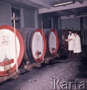 1975, Dębno, Polska.
Zakłady owocowe.
Fot. Romuald Broniarek, zbiory Ośrodka KARTA
