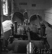 1975, Dębno, Polska.
Tartak.
Fot. Romuald Broniarek, zbiory Ośrodka KARTA