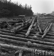 1975, Dębno, Polska.
Tartak.
Fot. Romuald Broniarek, zbiory Ośrodka KARTA