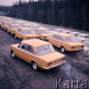 1975, Małaszewicze, Polska.
Port przeładunkowy PKP.
Fot. Romuald Broniarek, zbiory Ośrodka KARTA