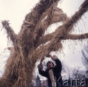 1975, Warszawa, Polska.
Chochoł w Ogrodzie Botanicznym Uniwersytetu Warszawskiego.
Fot. Romuald Broniarek, zbiory Ośrodka KARTA