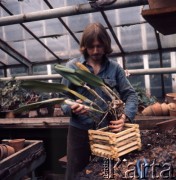 1975, Warszawa, Polska.
Szklarnia w Ogrodzie Botanicznym Uniwersytetu Warszawskiego.
Fot. Romuald Broniarek, zbiory Ośrodka KARTA