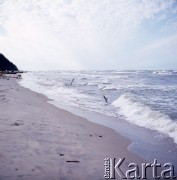 1975, Jastarnia, Polska.
Plaża.
Fot. Romuald Broniarek, zbiory Ośrodka KARTA