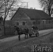1979, Dąbrówka Wielka, Polska.
Wóz konny.
Fot. Romuald Broniarek, zbiory Ośrodka KARTA