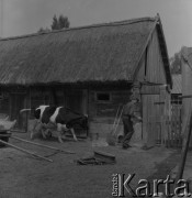 1982, Wola Osowińska, Polska.
Gospodarstwo.
Fot. Romuald Broniarek, zbiory Ośrodka KARTA