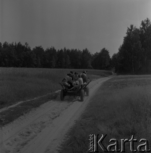 1982, Wola Osowińska, Polska.
Polna droga.
Fot. Romuald Broniarek, zbiory Ośrodka KARTA