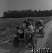 1982, Wola Osowińska, Polska.
Polna droga.
Fot. Romuald Broniarek, zbiory Ośrodka KARTA