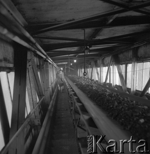 1982, Czeladź, Polska.
Kopalnia Węgla Kamiennego 