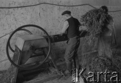 1983, Witnica, Polska.
Gospodarstwo osadnika wojskowego Stanisława Dudka.
Fot. Romuald Broniarek, zbiory Ośrodka KARTA