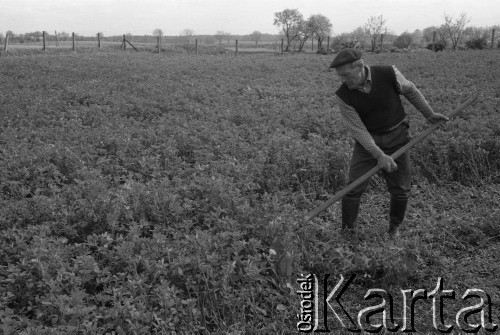 1983, Witnica, Polska.
Gospodarstwo osadnika wojskowego Stanisława Dudka.
Fot. Romuald Broniarek, zbiory Ośrodka KARTA