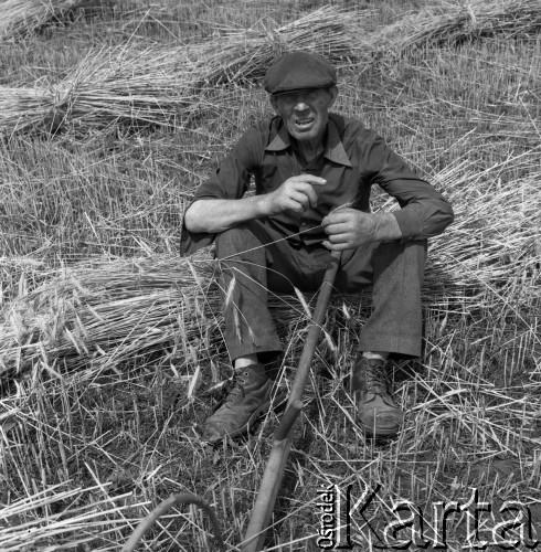 1983, Wola Osowińska, Polska.
Żniwa.
Fot. Romuald Broniarek, zbiory Ośrodka KARTA
