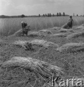 1983, Wola Osowińska, Polska.
Żniwa.
Fot. Romuald Broniarek, zbiory Ośrodka KARTA
