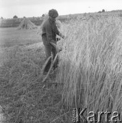 1983, Wola Osowińska, Polska.
Żniwa.
Fot. Romuald Broniarek, zbiory Ośrodka KARTA
