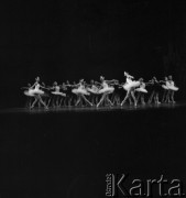 1985, Warszawa, Polska.
Balet 