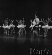 1985, Warszawa, Polska.
Balet 