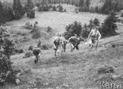 Czerwiec 1938, woj. stanisławowskie, Polska.
Harcerze w drodze na Howerlę.
Fot. NN, zbiory Ośrodka KARTA, udostępnił Ryszard Pełka

