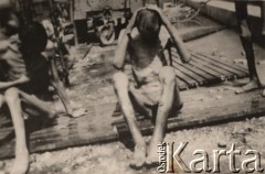 1945, brak miejsca.
 Więźniowie wyzwolonego obozu koncentracyjnego.
 Fot. NN, zbiory Ośrodka KARTA, kolekcję dominikanina, brata Bernarda Gerbera udostępnił Mariusz Sielski.
   
