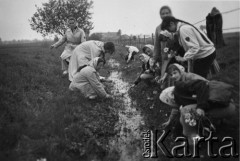 Lata 50-60-te, Białostockie woj., Polska.
Uczennice Liceum Pedagogicznego w Giżycku na wycieczce, dziewczyny zrywające kaczeńce.
Fot. NN, zbiory Ośrodka KARTA, udostępniła Aldona Nikoniuk.