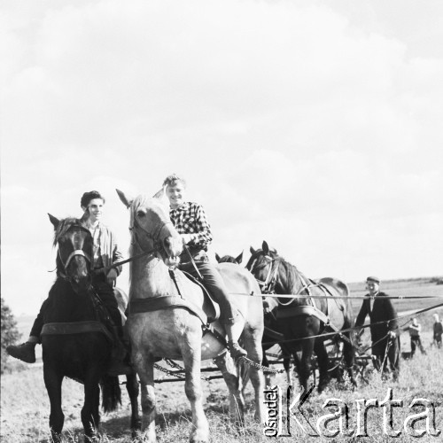 1958-1963, Giżycko, Polska.
Uczniowie Technikum Melioracji Wodnych z Giżycka na wykopkach.
Fot. Ignacy Nikoniuk, zbiory Ośrodka KARTA, udostępniła Aldona Nikoniuk.

