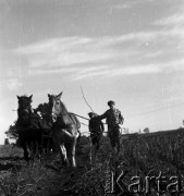 1958-1963, Giżycko, Polska.
Uczniowie Technikum Melioracji Wodnych z Giżycka na wykopkach.
Fot. Ignacy Nikoniuk, zbiory Ośrodka KARTA, udostępniła Aldona Nikoniuk.

