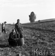 1958-1963, Giżycko, Polska.
Dziewczęta na wykopkach.
Fot. Ignacy Nikoniuk, zbiory Ośrodka KARTA, udostępniła Aldona Nikoniuk.

