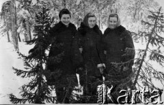 Brak daty, Mieżog, Komi ASRR, ZSRR.
Trzy młode kobiety w lesie. 
Fot. NN, zbiory Ośrodka KARTA, udostępniła Helena Zboralska