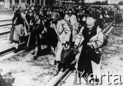 08.1944, Pruszków, Polska.
Grupa kobiet w obozie Dulag 121 przed halą nr 5 po opuszczeniu Warszawy podczas powstania warszawskiego. N/z Joanna Radke (2L, z torbą na piersiach).
Fot. autor nieznany, zbiory Fundacji Ośrodka KARTA, udostępniła Joanna Radke