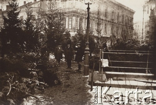 1900-1914, Lwów, Austro-Węgry.
 Sprzedaż choinek przed świętami Bożego Narodzenia.
 Fot. NN, zbiory Ośrodka KARTA, udostępnił Jurij Karpenczuk
   
